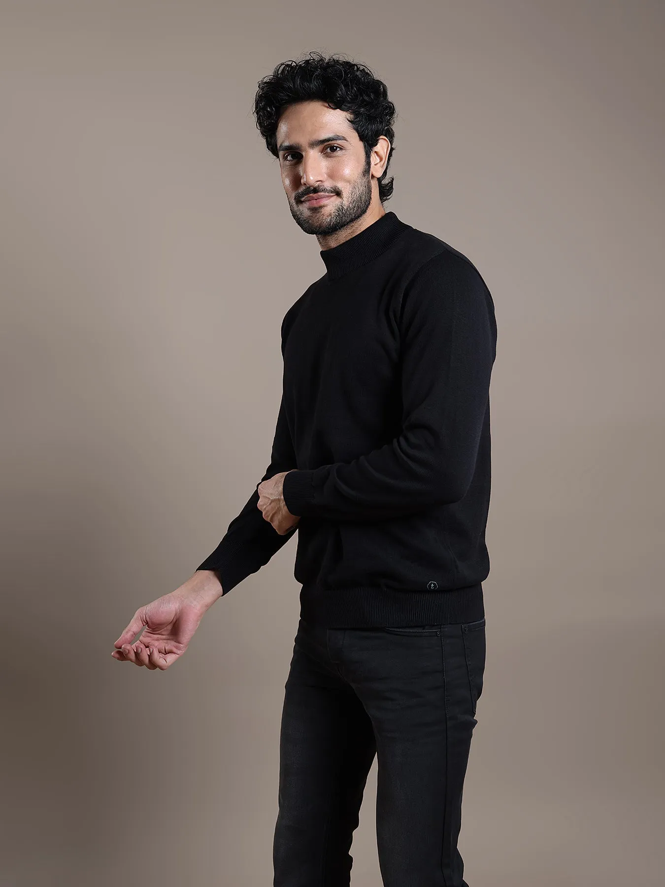 Knitted Navy Blue Striped Regular Fit Full Sleeve Casual Pullover
