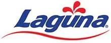 Laguna Skimmer Filter