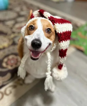 Santa Pupper Beanie
